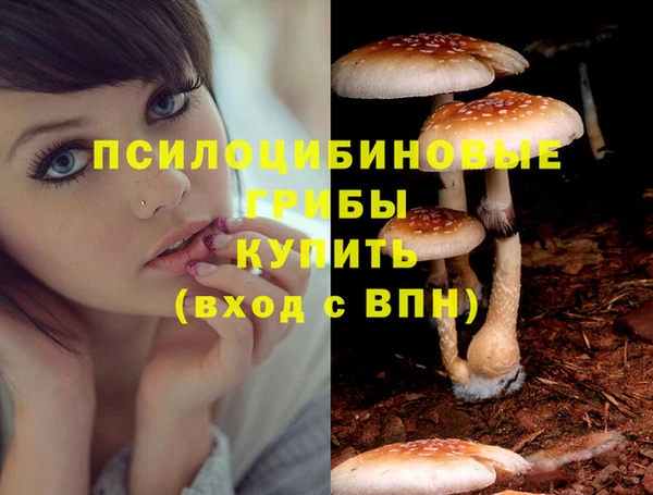 герыч Волоколамск