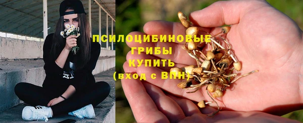 МДПВ Волосово
