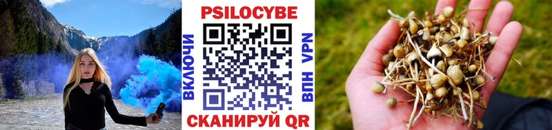 Галлюциногенные грибы ЛСД  Купить закладки  Ленинск 